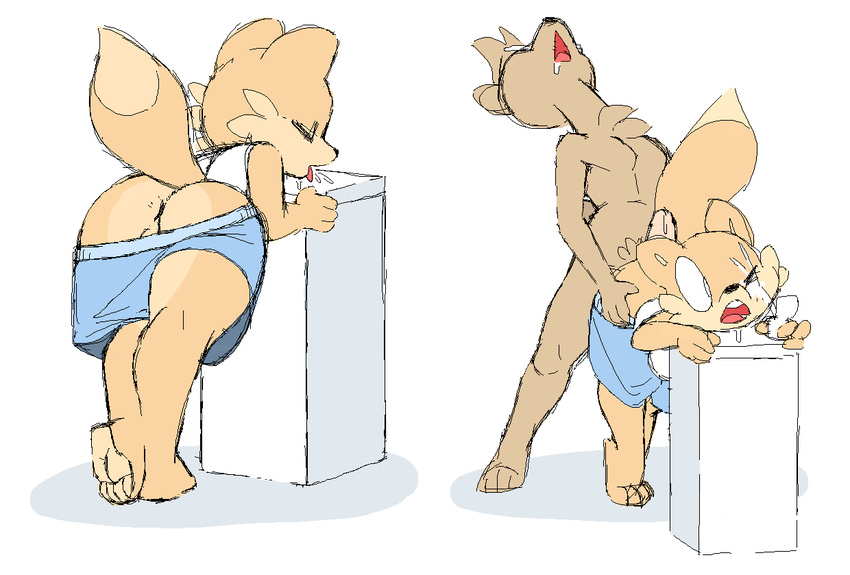 anthro bent_over canine chest_tuft clothing duo fur hot_dogging male mammal penis precum raised_tail saliva shorts surprise_buttsex tuft wardrobe_malfunction water_fountain xxylas xylas
