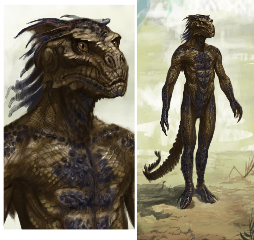 absurd_res argonian bust claws concept_art hi_res invalid_tag male muscles scales scalie sketch the_elder_scrolls video_games