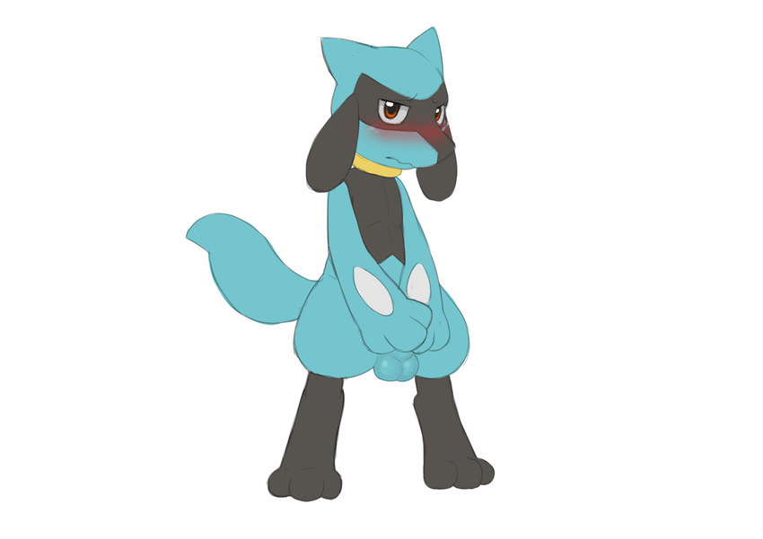 3_fingers 3_toes anthro balls barefoot blush canine convenient_censorship covering covering_self dreiker exposed fur half-closed_eyes hi_res jackal looking_at_viewer male mammal nintendo nude plain_background pok&#233;mon pok&eacute;mon riolu shy solo standing video_games white_background