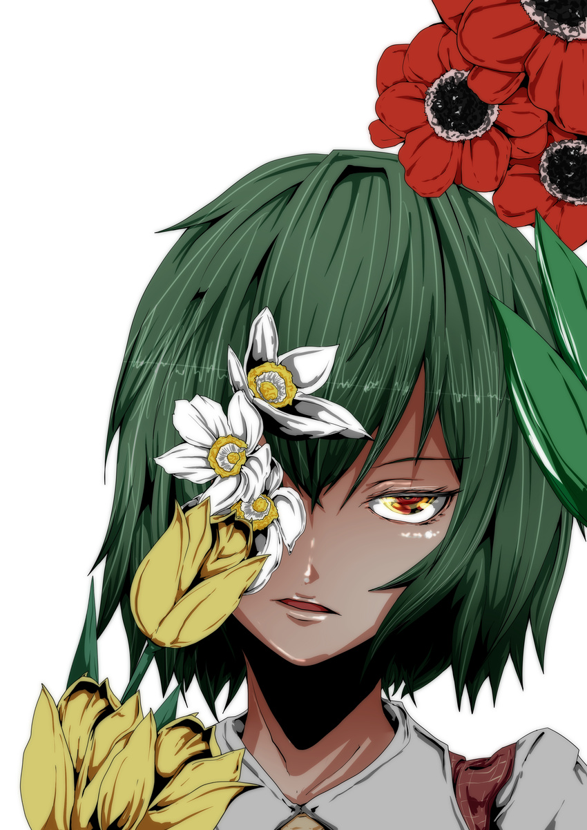 absurdres anemone_(flower) commentary face flower green_hair highres kazami_yuuka looking_at_viewer open_mouth potato_pot red_eyes simple_background solo symbolism touhou tulip white_background