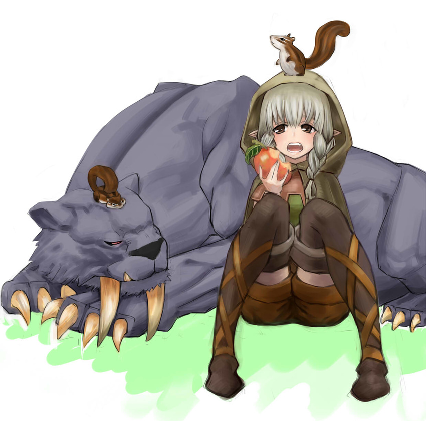 apple bad_id bad_pixiv_id boots braid brown_eyes cloak dragon's_crown eating elf_(dragon's_crown) food fruit highres hood long_hair open_mouth pointy_ears rapt_(47256) sabertooth_cat shorts simple_background sitting squirrel thigh_boots thighhighs twin_braids white_background zettai_ryouiki
