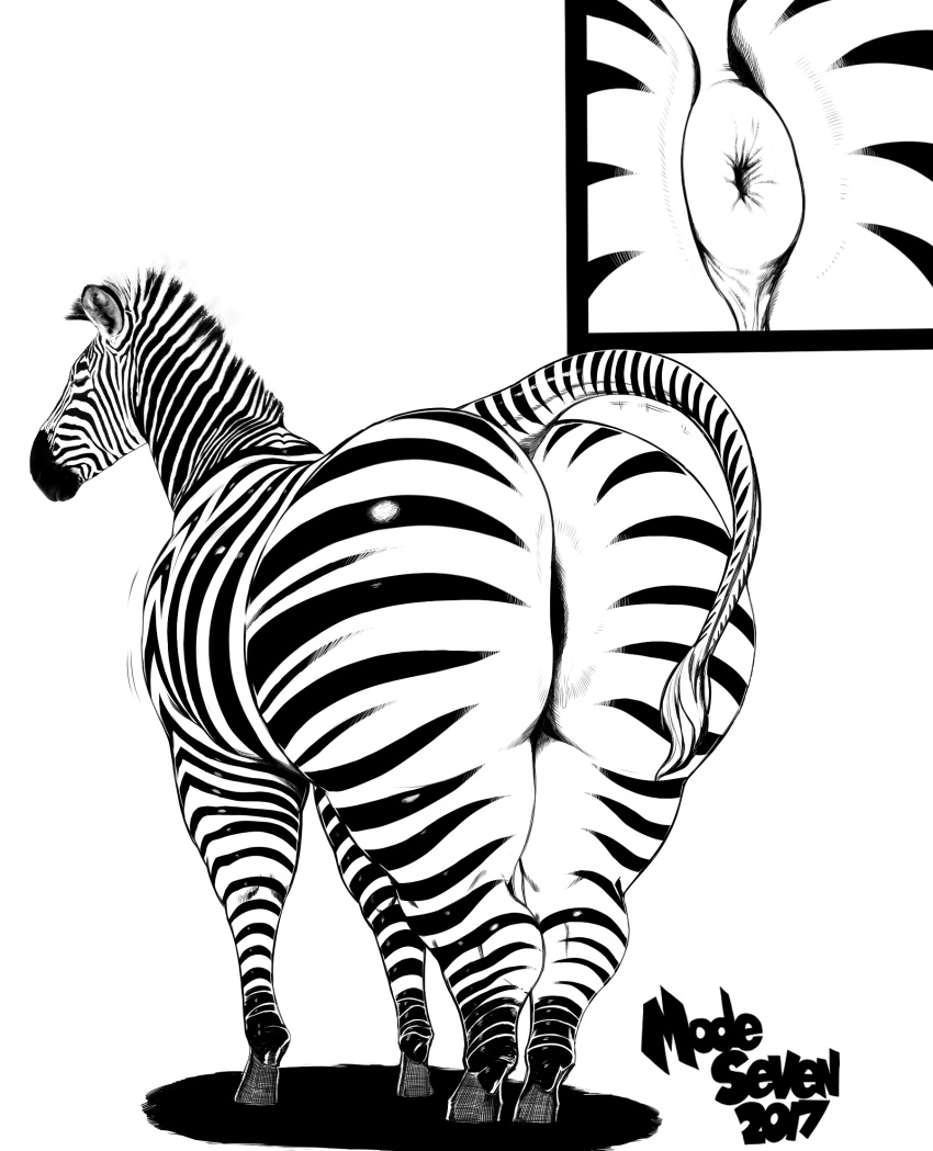 anus big_butt butt edit equine female feral hi_res huge_butt mammal modeseven solo thick_thighs wide_hips zebra