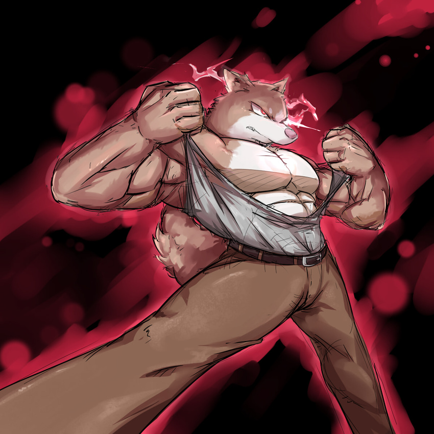 abstract_background anthro belt biceps big_muscles brown_fur canine clenched_teeth clothing fangs fur glowing glowing_eyes kill_la_kill male mammal muscles pants pecs pink_nose pose red_eyes shirt solo standing tan_fur teeth toned torn_clothing waddledox were werewolf white_fur wolf