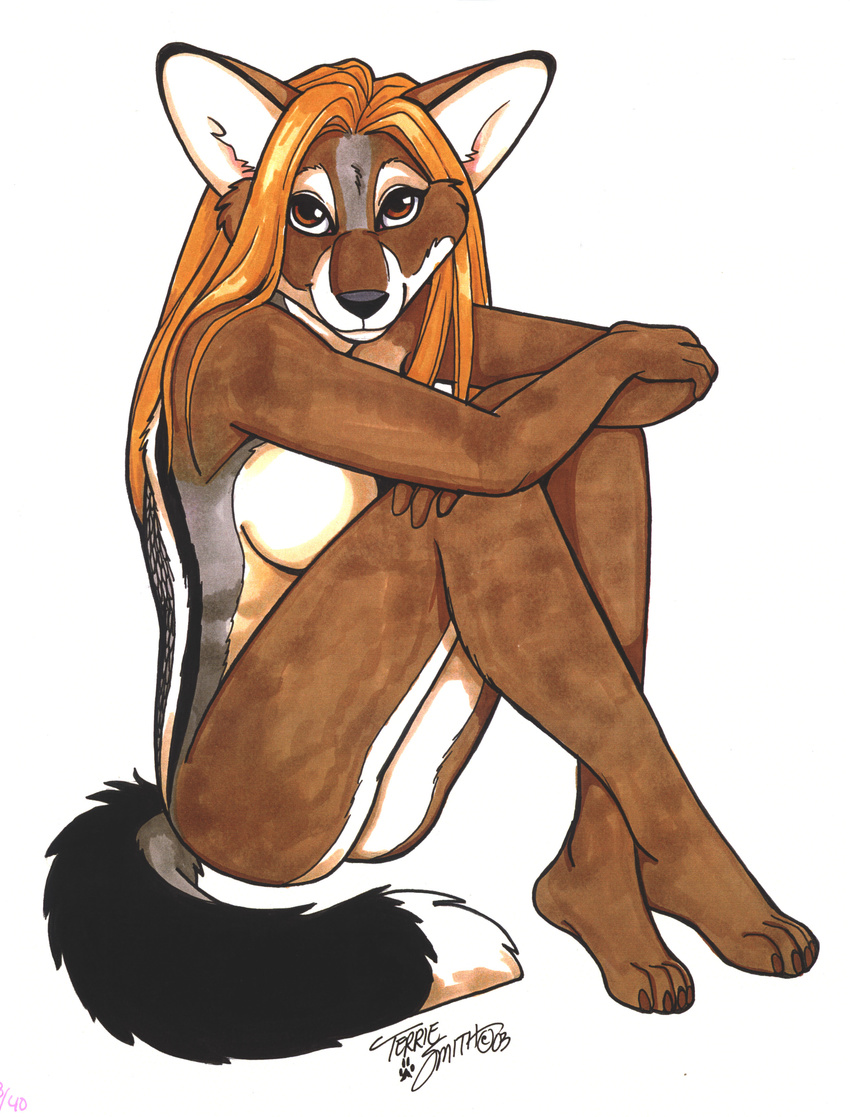 absurd_res anthro blonde_hair breasts butt canine female hair hi_res jackal looking_at_viewer mammal nude pinup pose side-striped_jackal side_boob sitting solo terrie_smith traditional_media