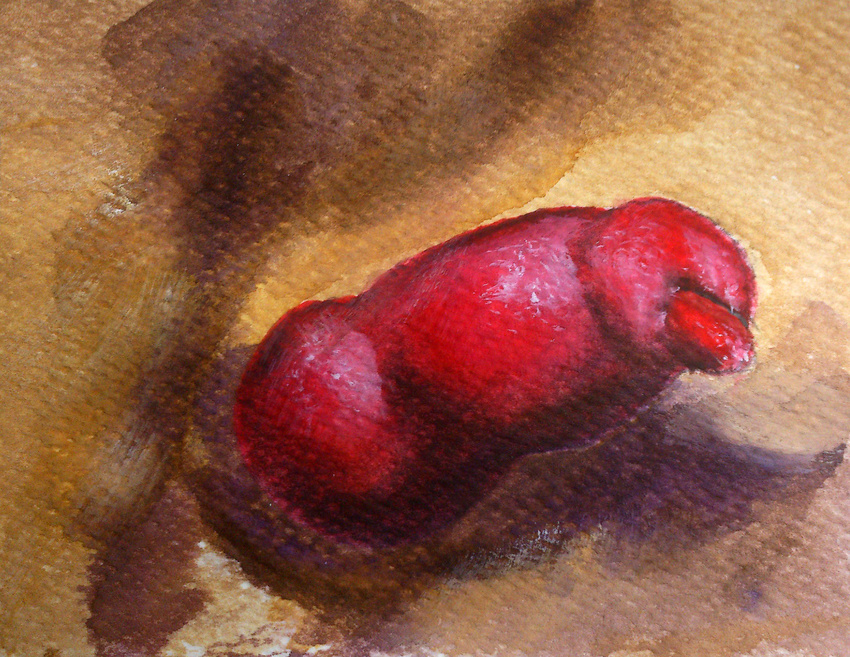 brown_fur canine canine_penis erection fur hi_res knot male mammal penis red_penis solo toorwolf traditional_media watercolor
