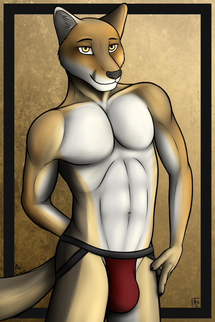 abs amber_eyes anthro aolun aolun_(artist) biceps black_nose brown_fur bulge canie canine cape_fox claws fox fur grin jockstrap looking_at_viewer male mammal muscles pecs pose smile solo standing tan_fur toned topless underwear white_fur yellow_eyes