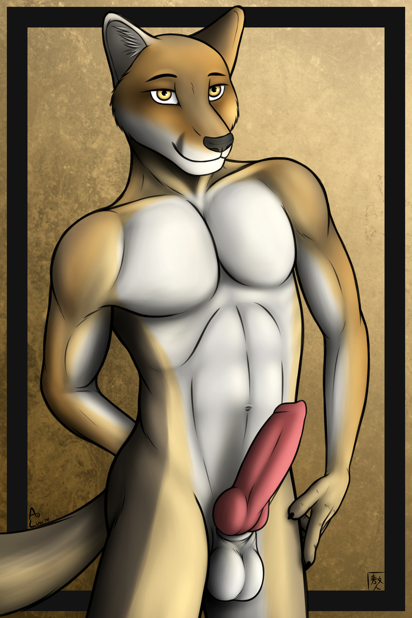 abs amber_eyes animal_genitalia anthro aolun aolun_(artist) balls biceps black_nose brown_fur canine canine_penis cape_fox claws erection fox fur grin knot looking_at_viewer male mammal muscles nude pecs penis pose presenting sheath smile solo standing tan_fur toned white_fur yellow_eyes