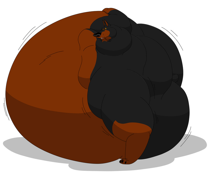 bloated canine dog fat_ass fur hectorthewolf inflation male mammal obese overweight plain_background roscoe solo white_background