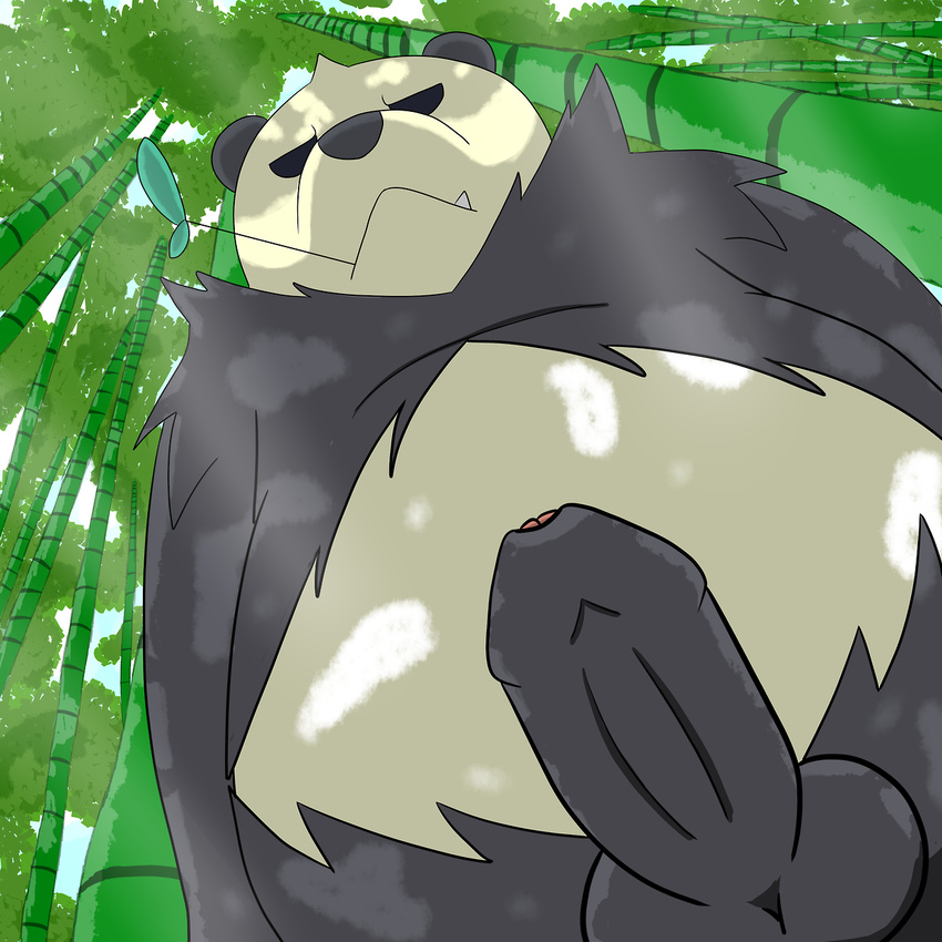 balls bear big_penis black_fur chubby erection fangs forest fur leaf looking_at_viewer low-angle_shot male mammal nintendo nude outside panda pangoro penis pok&#233;mon pok&eacute;mon sky solo tree uncut unknown_artist video_games worm's-eye_view worm's-eye_view