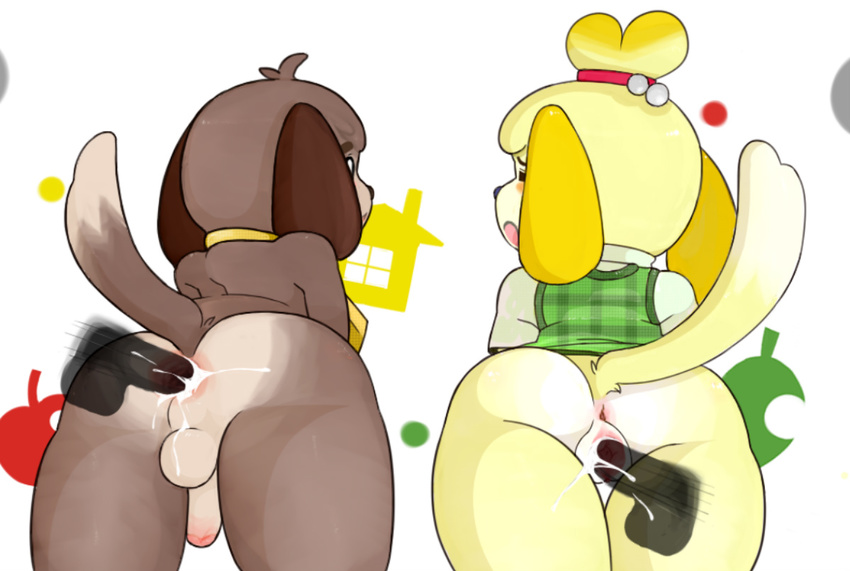 anal animal_crossing anus blush canine cum cum_in_ass cum_in_pussy cum_inside digby_(animal_crossing) dog female gay isabelle_(animal_crossing) male mammal nintendo penis pkaocko pussy straight vaginal video_games