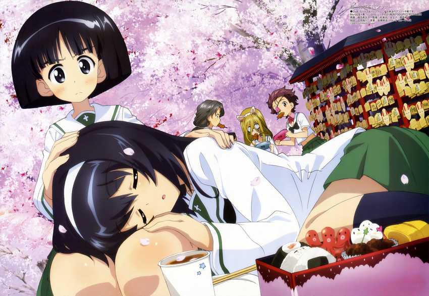 absurdres animal_ears black_hair cherry_blossoms closed_eyes cup drink eyepatch food girls_und_panzer green_skirt hairband hanami hand_on_another's_head highres lap_pillow legs lying megami momogaa mouth_hold multiple_girls nekonyaa non-web_source obentou official_art omelet on_side onigiri ooarai_school_uniform outdoors petals piyotan pleated_skirt reizei_mako sadakata_kikuko school_uniform serafuku short_hair skirt socks sono_midoriko tako-san_wiener tamagoyaki tree