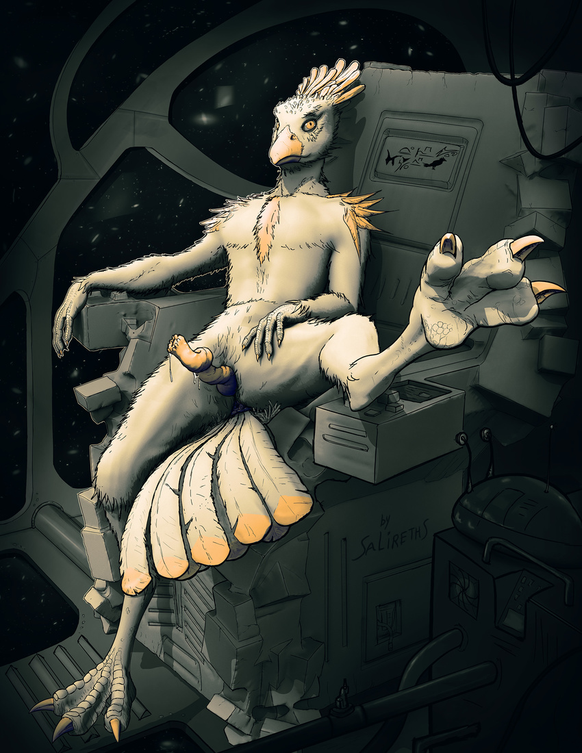 anatomically_correct_penis anus avian avian_(starbound) avian_penis captain erection feathers goose looking_at_viewer male penis precum salireths sitting solo spacecraft spreading starbound video_games yellow_eyes