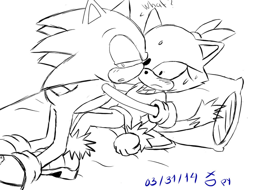 blaze_the_cat blush cat duo feline hedgehog looking_at_viewer mammal sega sonic_(series) sonic_the_hedgehog source_request unknown_artist video_games