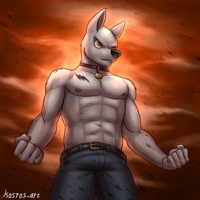 abstract_background anthro anthrofied belt biceps black_nose body_markings bolt bolt_(film) brown_eyes bulge canine clothing collar disney dog flexing fur grey_fur jeans kostos_art male mammal markings muscles naked_torso nipples pants pecs pose solo standing teeth toned topless white_fur