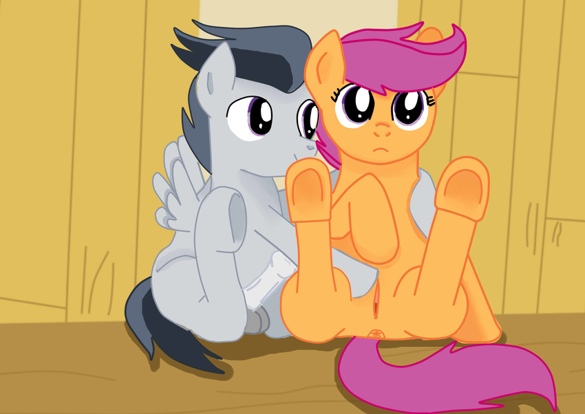 balls duo equine female friendship_is_magic fur grey_fur hair horse_tail jbond male mammal my_little_pony orange_fur pegasus penis purple_eyes purple_hair pussy rumble scootaloo_(mlp) tails wings