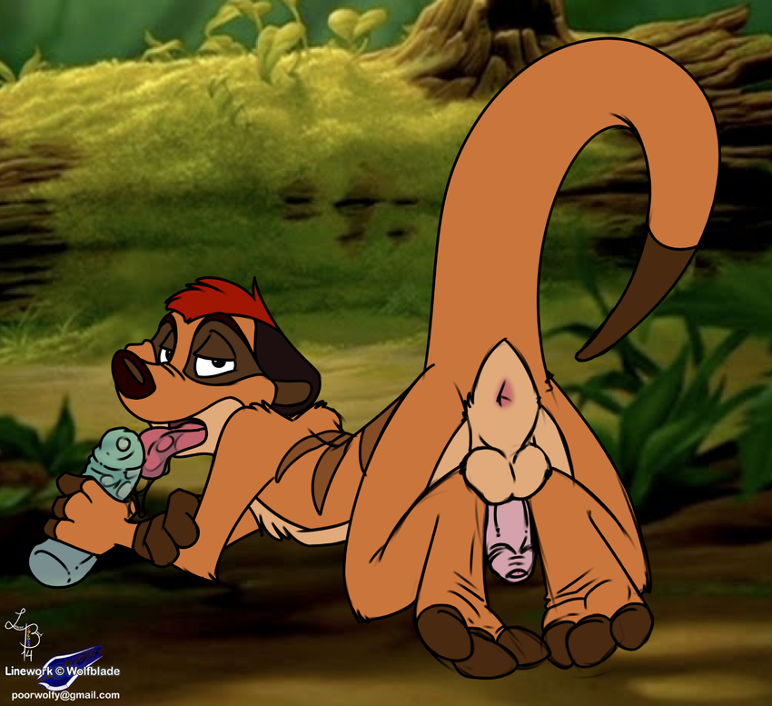 anthro anus backsack balls butt dildo disney erection flaccid half-closed_eyes hindpaw humanoid_penis licking looking_at_viewer looking_back male meerkat nude open_mouth pawpads paws penis plain_background presenting presenting_hindquarters sex_toy soles solo the_lion_king timon toes tongue tongue_out uncut wolfblade