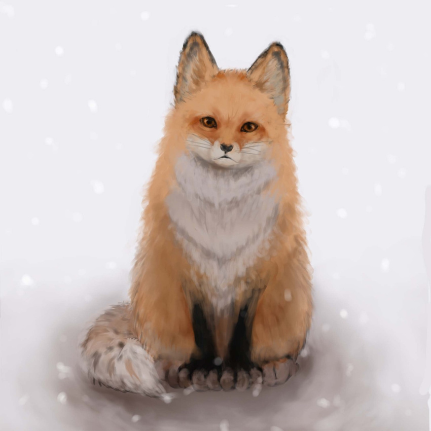 2n5 animal fox looking_at_viewer no_humans original sitting snow snowing whiskers