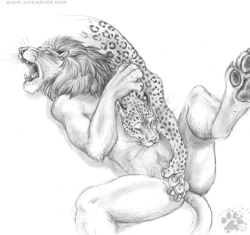2007 balls blotch claws duo eyes_closed feline gay greyscale hand_on_back hindpaw interspecies leopard lion male mammal mane monochrome open_mouth pawpads paws penis plain_background raised_leg sheath simple_background spots spread_legs spreading traditional_media uncolored whiskers white_background