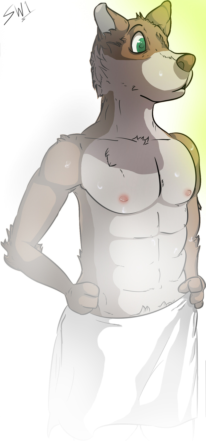 biceps brown_fur canine cute dog fur green_eyes invalid_tag male mammal muscles nipples pecs shower solo standing steam surprise swagknight1 sweat toned topless towel