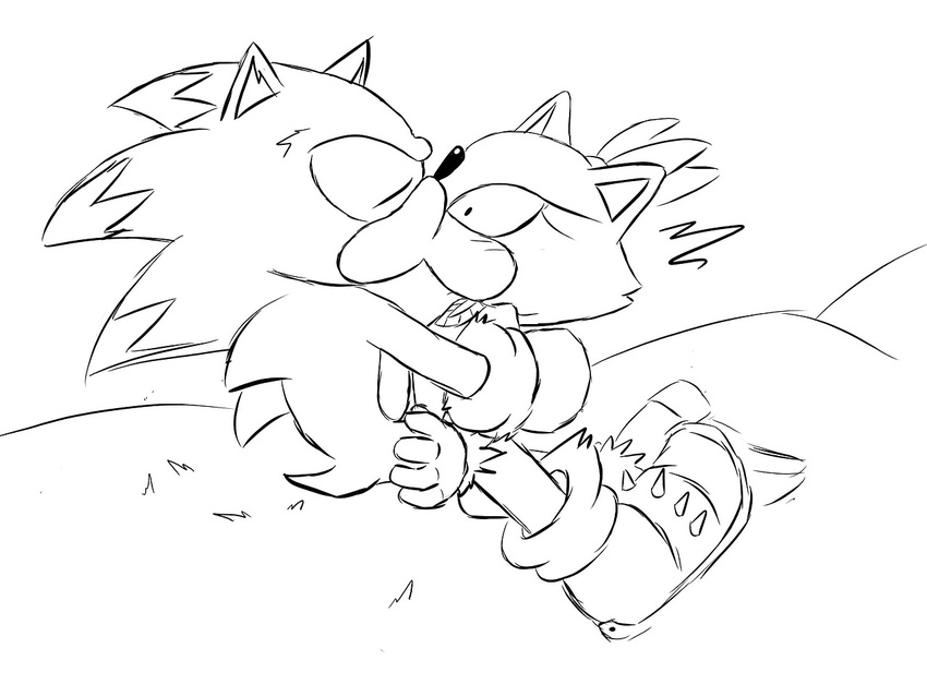 anthro blaze_the_cat blush cat duo feline hedgehog kissing mammal sega sonic_(series) sonic_the_werehog source_request unknown_artist