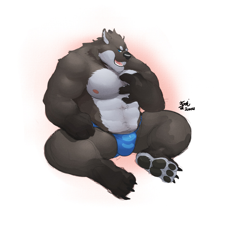 biceps big_muscles bin bulge canine chubby looking_at_viewer male mammal muscles open_mouth pawpads paws pecs seated solo topless underwear wolf