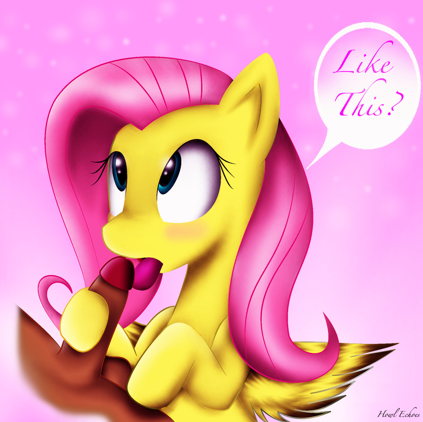 equine female fluttershy_(mlp) friendship_is_magic fur hair hi_res hooves horse howl_echoes human licking mammal my_little_pony oral pegasus penis pink_hair pony tongue tongue_out wings yellow_fur
