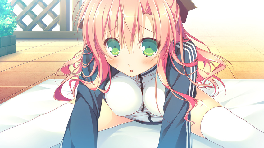 alcot chikotam clover_day's game_cg green_eyes gym_uniform long_hair pink_hair rindou_tsubame thighhighs