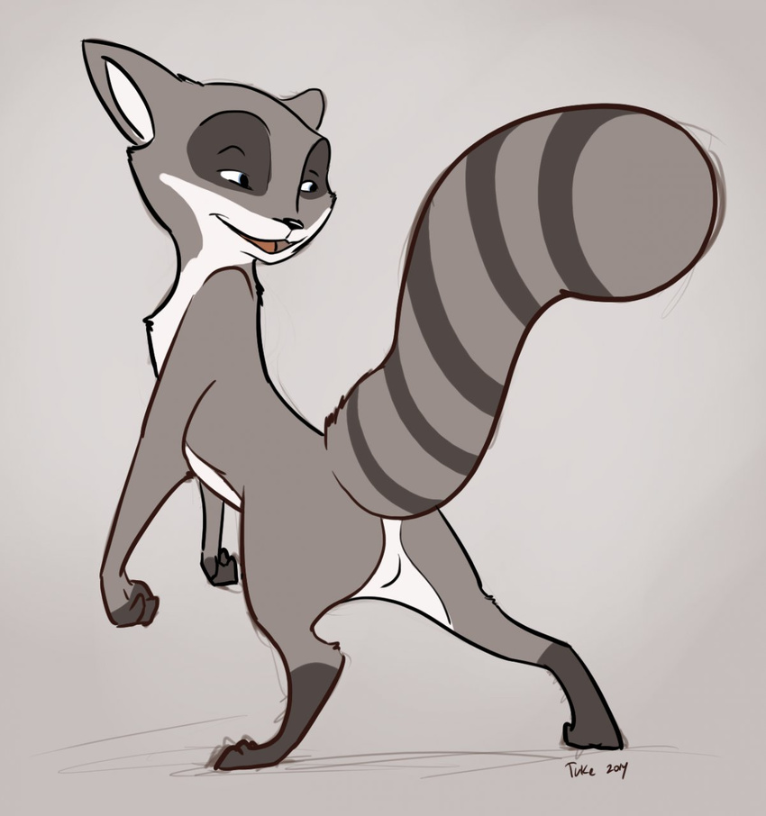 feral looking_back male mammal nude raccoon raised_tail solo tuke