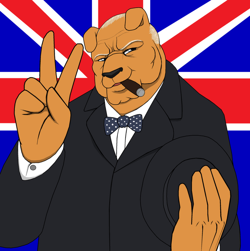 canine cigar dog droll3 gentleman hat hi_res looking_at_viewer male mammal peace_sign solo union_jack v_sign winston_churchill