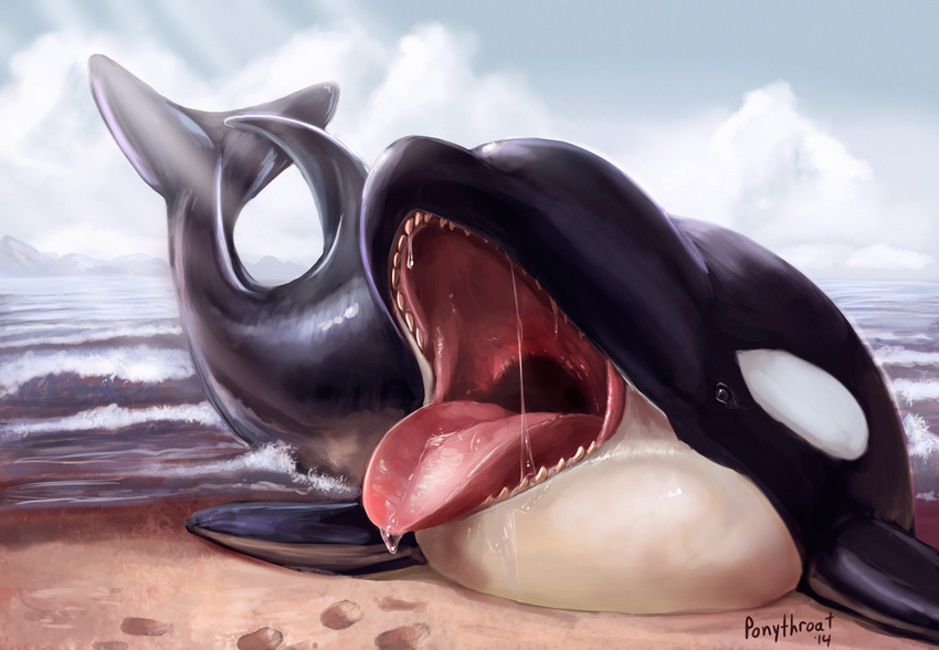 ambiguous_gender beach cetacean cloud feral lying mammal marine on_front open_mouth orca outside ponythroat saliva seaside signature teeth tongue tongue_out whale