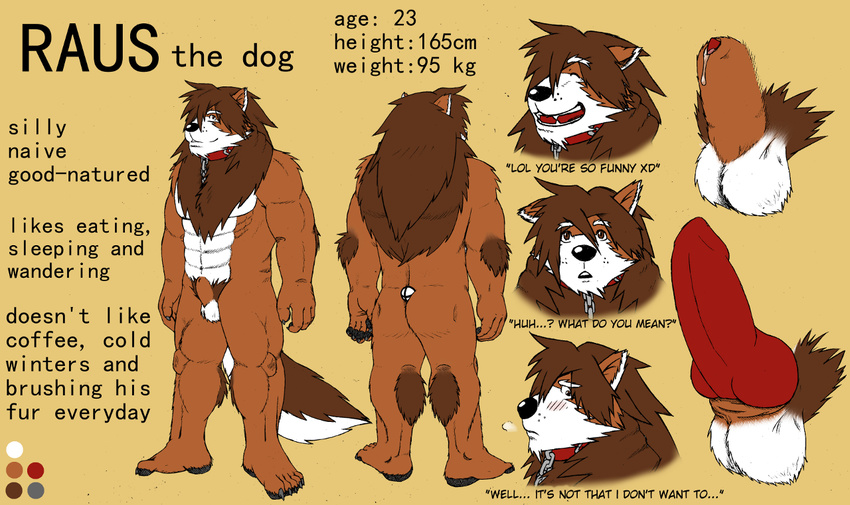 anthro balls canine claws dog erection fur male mammal model_sheet muscles nude penis raus solo standing were