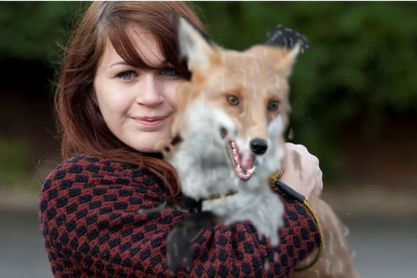 canine fox mammal melting smelly sticky