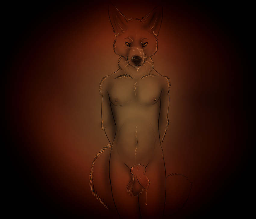 anthro balls canine canine_penis cum ear_piercing erection fen fen_(fursona) gloebis gradient_background jackal knot looking_at_viewer male mammal navel nipples nude penis piercing pinup pose precum sack solo thevale vein