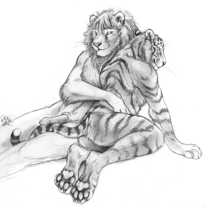 all_fours blotch duo erection feline gay greyscale hindpaw hug interspecies lion looking_at_viewer looking_back male mammal mane monochrome nude pawpads paws penis plain_background reclining stripes tiger whiskers white_background