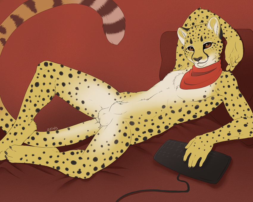 ajna balls bandanna cheetah feline keyboard lying male mammal nude on_back sheath solo spread_legs spreading