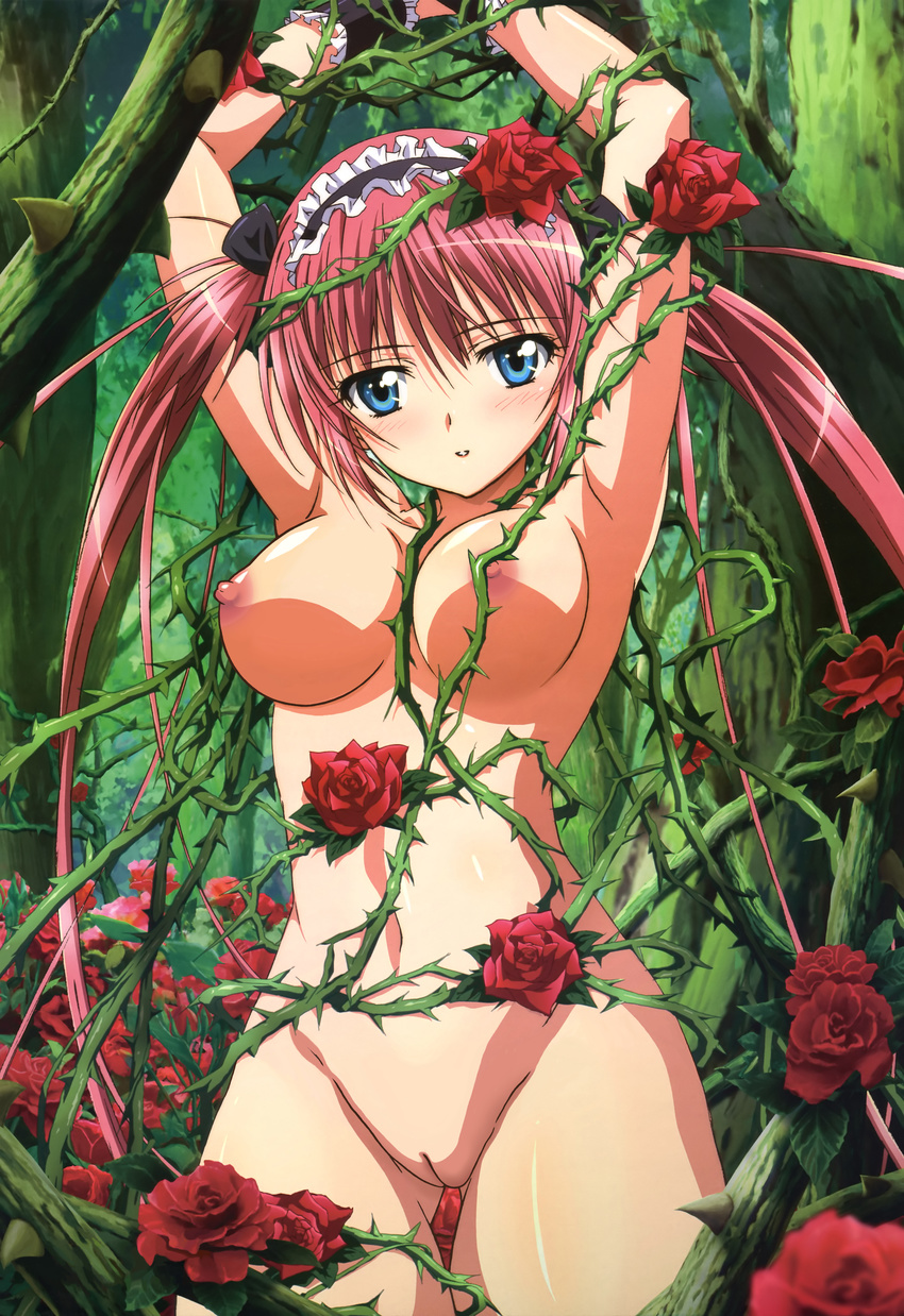 1girl absurdres airi airi_(queen's_blade) armpits arms_up bdsm blue_eyes blush body_blush bondage bound breasts female flower foreshortening forest headdress highres long_hair looking_at_viewer maid_headdress mound_of_venus nature navel nipples noguchi_takayuki nude nude_filter parted_lips photoshop plant pussy queen's_blade queen's_blade red_hair red_rose rose shade solo thighs thorns tree twintails uncensored very_long_hair wrist_cuffs