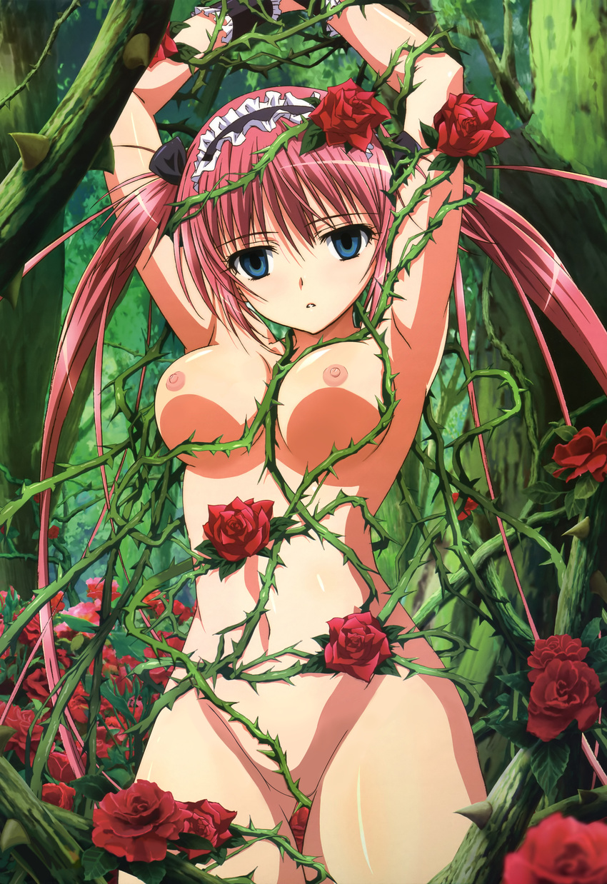 1girl absurdres airi airi_(queen's_blade) armpits arms_up bdsm blue_eyes blush body_blush bondage bound breasts censored convenient_censoring empty_eyes female flower foreshortening forest headdress highres long_hair looking_at_viewer maid_headdress mound_of_venus nature navel nipples noguchi_takayuki nude nude_filter parted_lips photoshop plant queen's_blade queen's_blade red_hair red_rose rose shade solo thighs thorns tree twintails very_long_hair wrist_cuffs