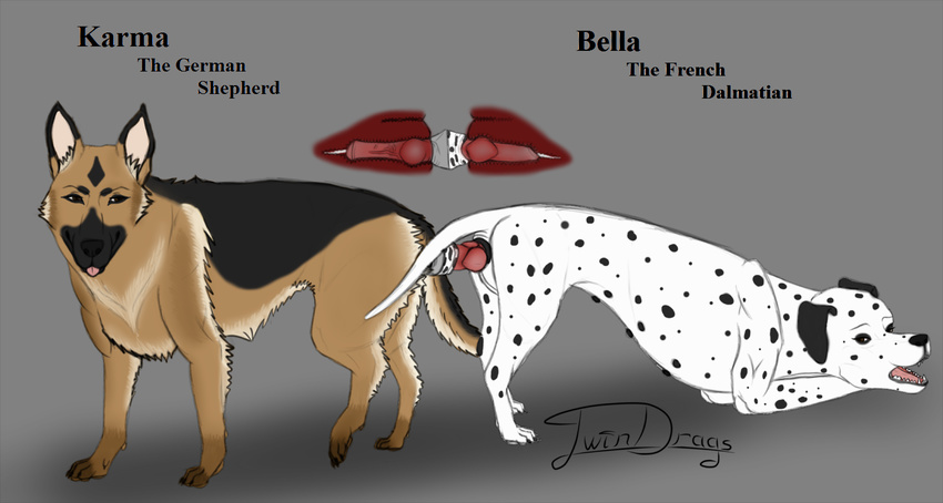 bella canine cole dalmatian digital dildo dog duo equinine female feral german_shepherd great_dane internal karma_(character) knot mammal pussy sex_toy sketch tucker twindrags