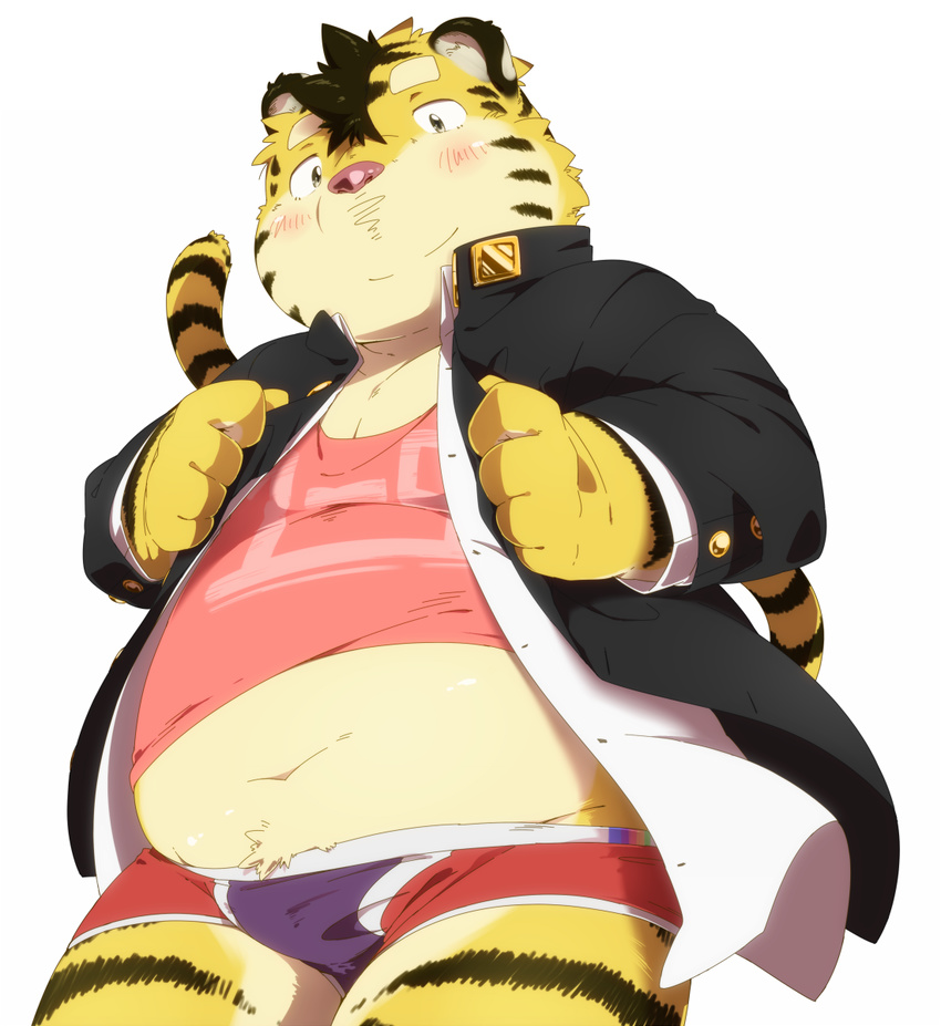 chubby clothing eyebrows feline hair hinami kemono male mammal midriff navel pink_nose plain_background solo stripes suit tiger underwear white_background