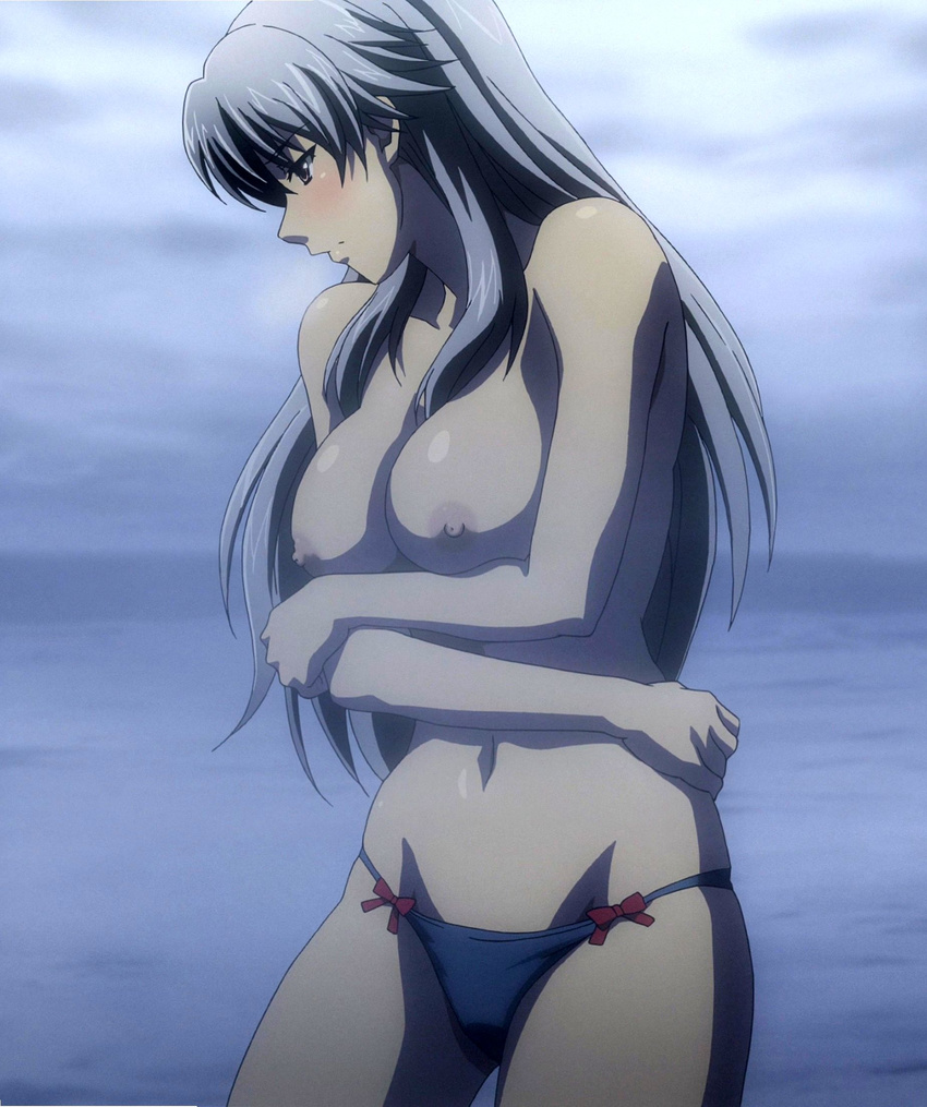 1girl blue_panties breasts freezing_(series) highres holly_rose large_breasts long_hair nipples panties solo standing stitched topless underwear white_hair