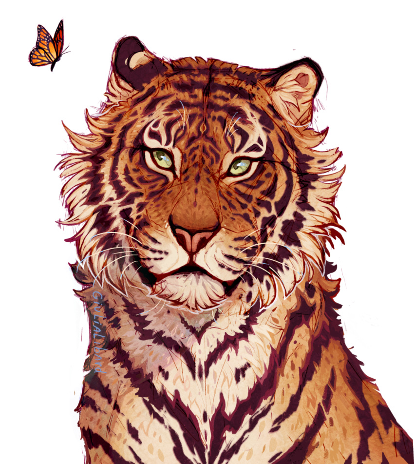 2018 ambiguous_gender digital_media_(artwork) duo feline feral fur giulialibard green_eyes mammal monarch_butterfly siberian_tiger simple_background solo_focus stripes tiger whiskers white_background