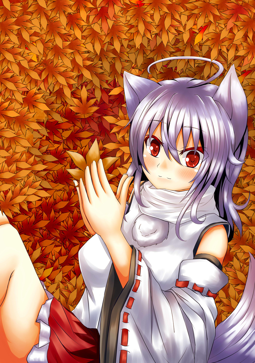 :3 absurdres ahoge animal_ears autumn_leaves bad_id bad_pixiv_id banned_artist bare_shoulders blush breasts detached_sleeves highres holding inubashiri_momiji large_breasts leaf looking_at_viewer oohirakeisuke pom_pom_(clothes) red_eyes shirt short_hair silver_hair skirt smile solo tail touhou wolf_ears wolf_tail