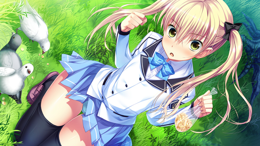 :o amakura anekawa_shii bad_feet bird black_legwear blonde_hair blush bow bowtie clenched_hands feeding game_cg grass hair_between_eyes hair_bow kneeling knees_together_feet_apart lace lace-trimmed_skirt long_hair long_sleeves open_mouth outdoors panties polka_dot polka_dot_panties seed skirt solo thigh_gap thighhighs twintails umisora_no_fragments underwear yellow_eyes