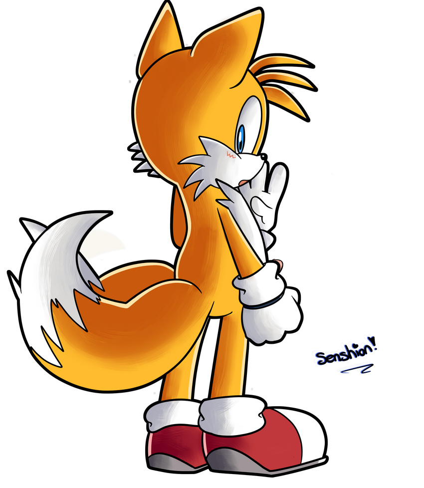 back butt canine fox looking_at_viewer looking_back male mammal miles_prower penis sega senshion sonic_(series) standing