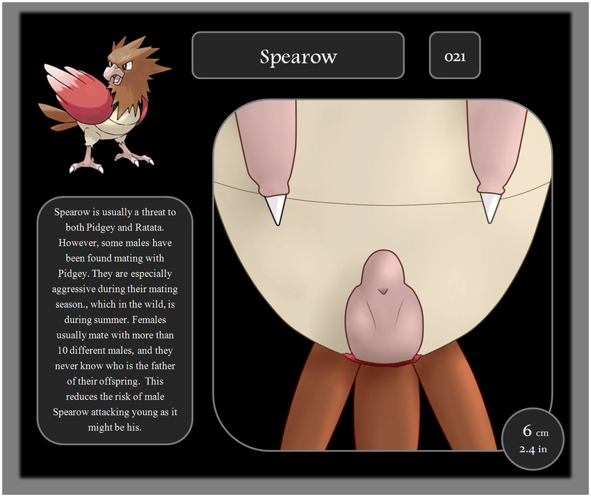 avian bird erection feathers feral male nintendo penis pok&#233;mon pok&eacute;mon solo spearow video_games wings zekromlover