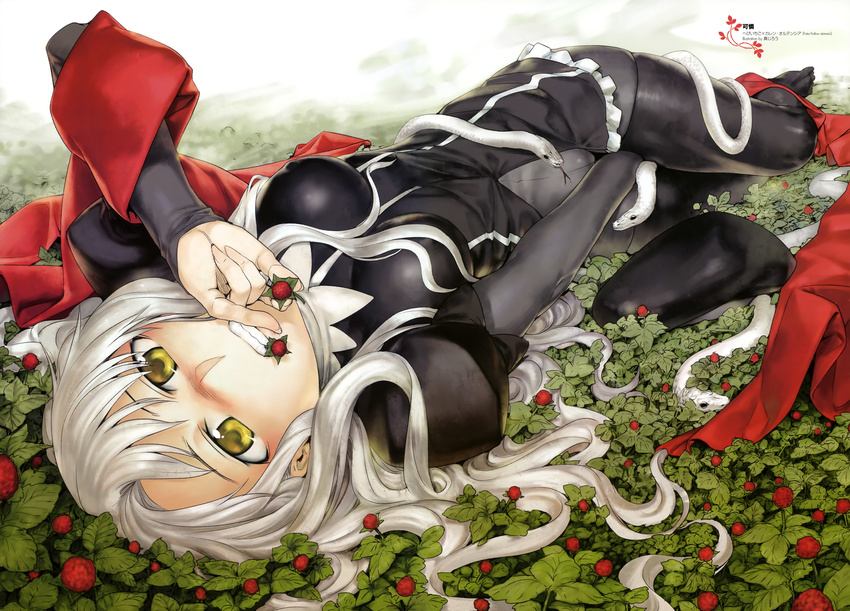 absurdres artist_request berries between_legs black_legwear blush breasts caren_hortensia covered_nipples dress fate/hollow_ataraxia fate_(series) frills hand_between_legs hat hat_removed headwear_removed highres layered_sleeves long_hair long_sleeves looking_at_viewer lying medium_breasts official_art on_back pantyhose puffy_sleeves scan scarf shiny shiny_clothes shroud_of_magdalene silver_hair snake solo thighhighs yellow_eyes
