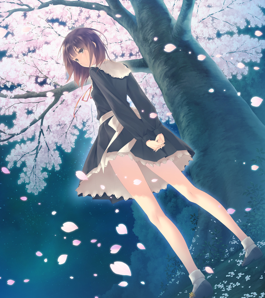 black_eyes brown_hair feet flowers_(game) grass highres innocent_grey legs looking_back night petals shoes short_hair skirt sky socks solo standing thighs tree