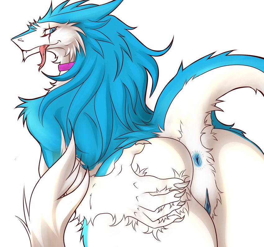 blue_eyes blue_fur blue_hair breasts butt collar female fur hair kanex nude pussy sergal solo tongue valkyrie_the_corrupt_sergal white_fur