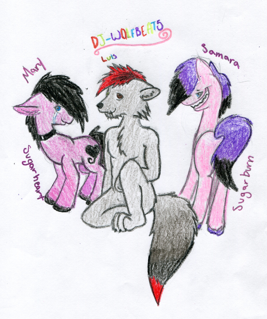 anthro blue_eyes brown_eyes canine collar crying equine female fox friendship_is_magic green_eyes horse hybrid male mammal mary_(character) my_little_pony pony samara_(character) wolf