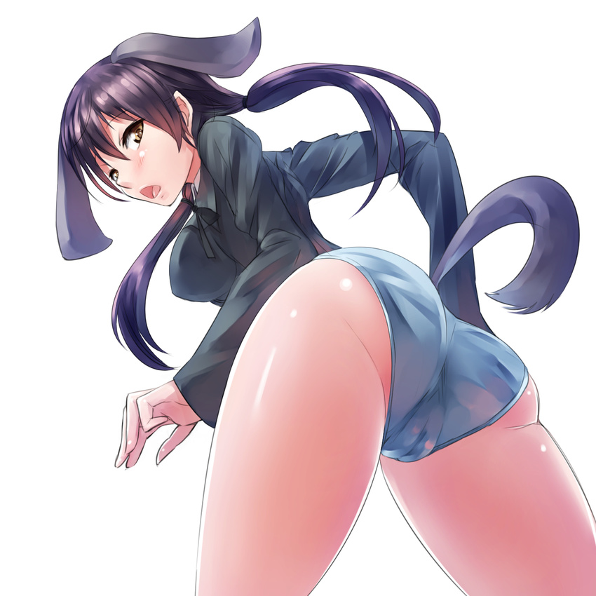 animal_ears blue_panties brown_eyes brown_hair cameltoe dog_ears dog_tail from_below gertrud_barkhorn highres looking_at_viewer military military_uniform nanjyolno no_pants open_mouth panties pantyshot solo strike_witches tail twintails underwear uniform world_witches_series